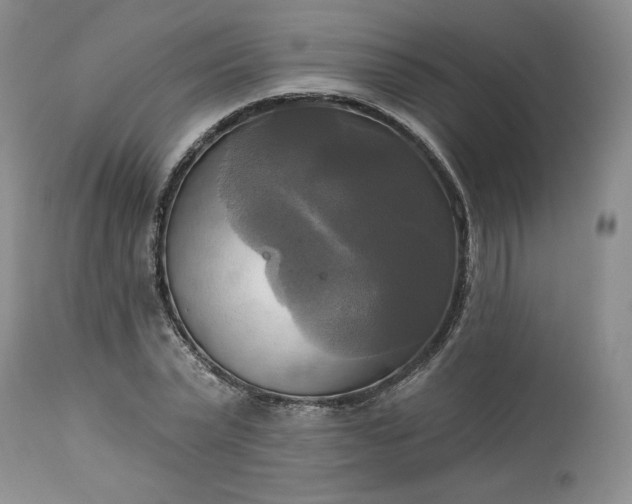 X0000113340783200909291028