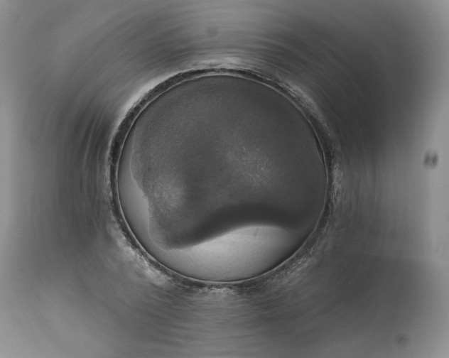 X0000113340784200909291028