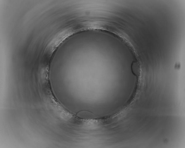 X0000113340785200909291028