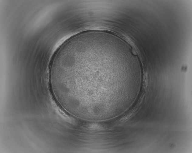 X0000113340787200909291028