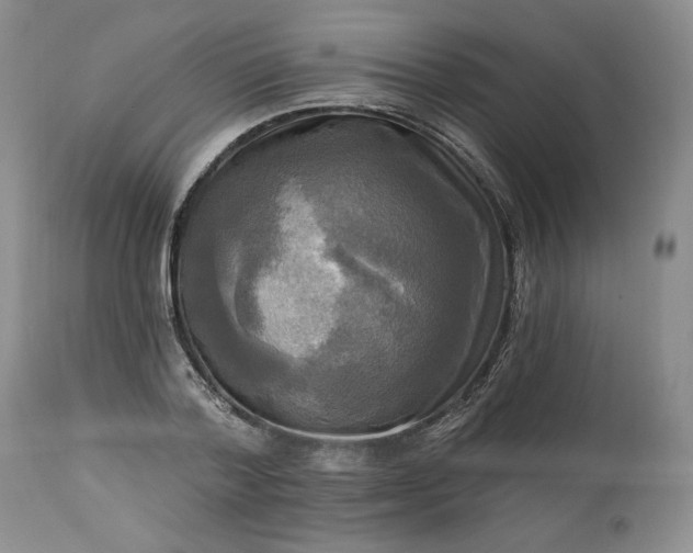 X0000113340788200909291028