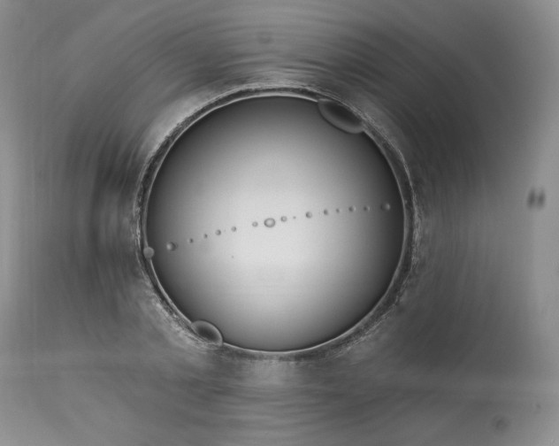 X0000113340789200909291028