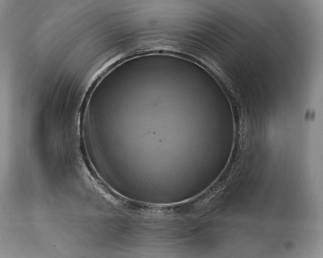 X0000113340790200909291028