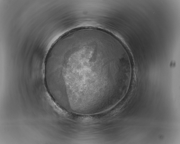 X0000113340791200909291028