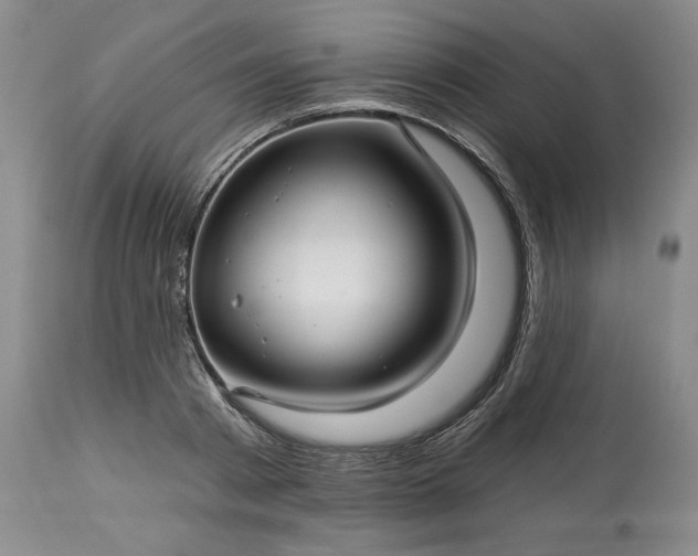 X0000113340793200909291028