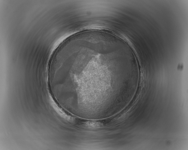 X0000113340795200909291028