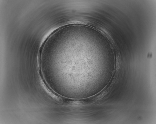 X0000113340796200909291028