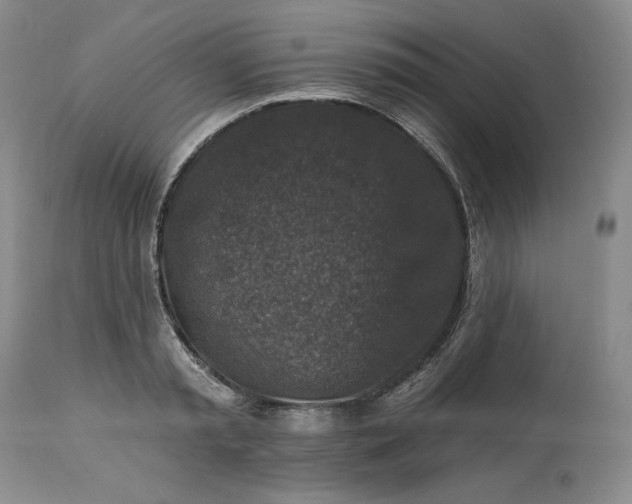 X0000113340797200909291028