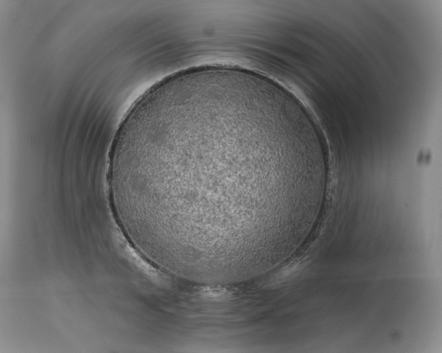 X0000113340799200909291028