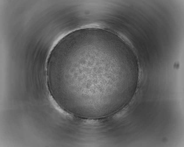 X0000113340800200909291028