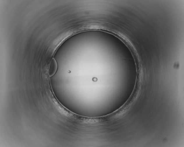 X0000113340801200909291028