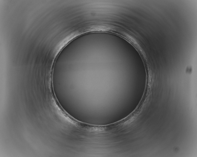 X0000113340802200909291028