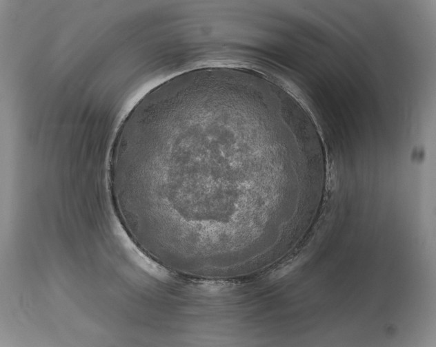 X0000113340803200909291028