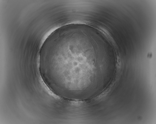 X0000113340804200909291028