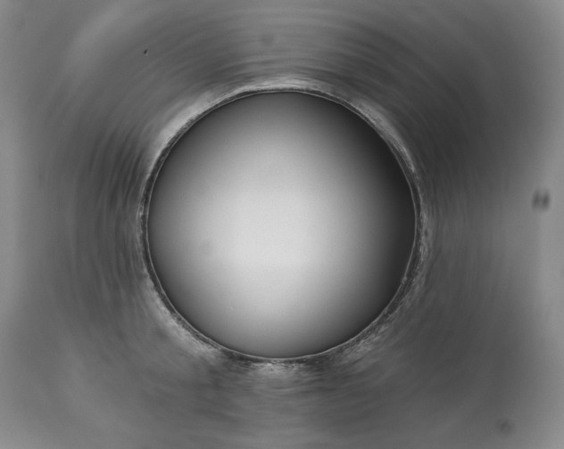 X0000113340805200909291028