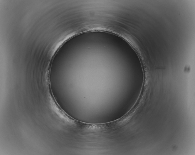 X0000113340806200909291028