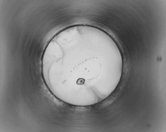 X0000113340807200909291028