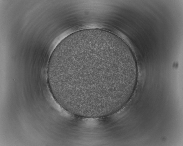 X0000113340810200909291028