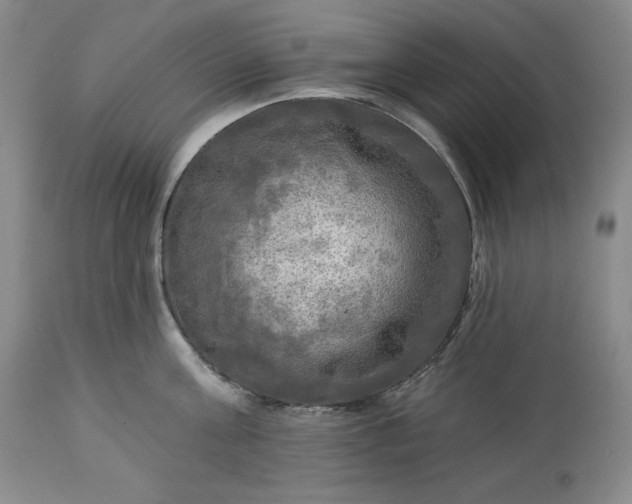 X0000113340811200909291028