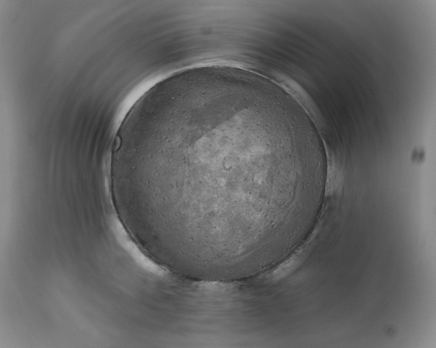 X0000113340812200909291028