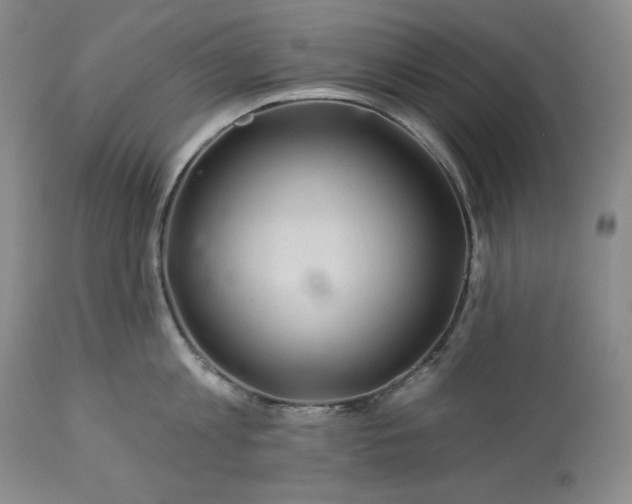 X0000113340813200909291028