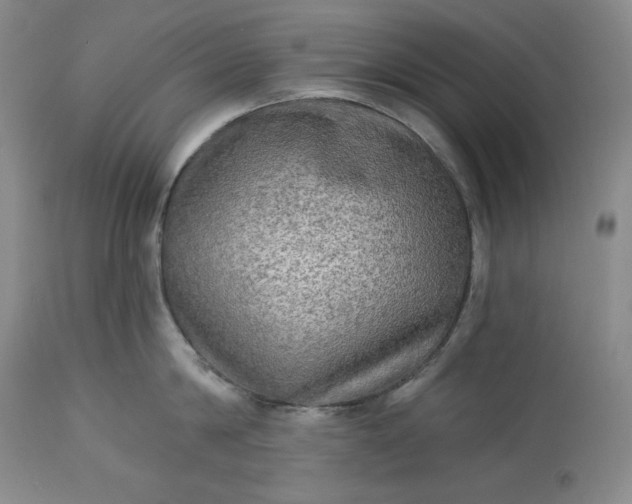 X0000113340814200909291028