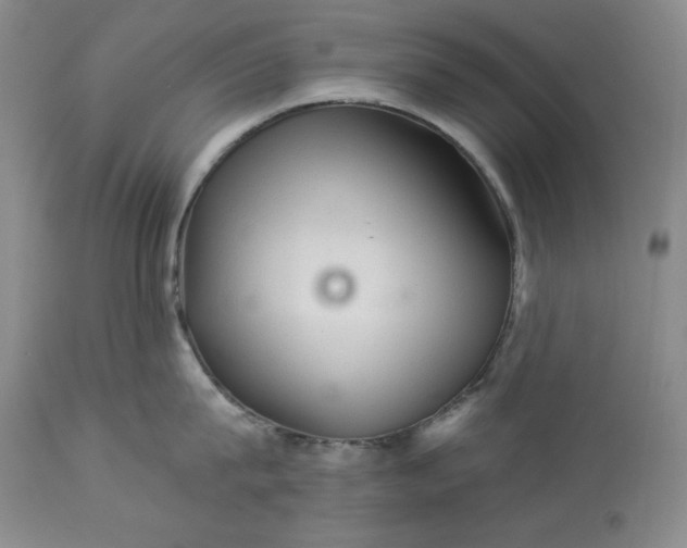 X0000113340815200909291028