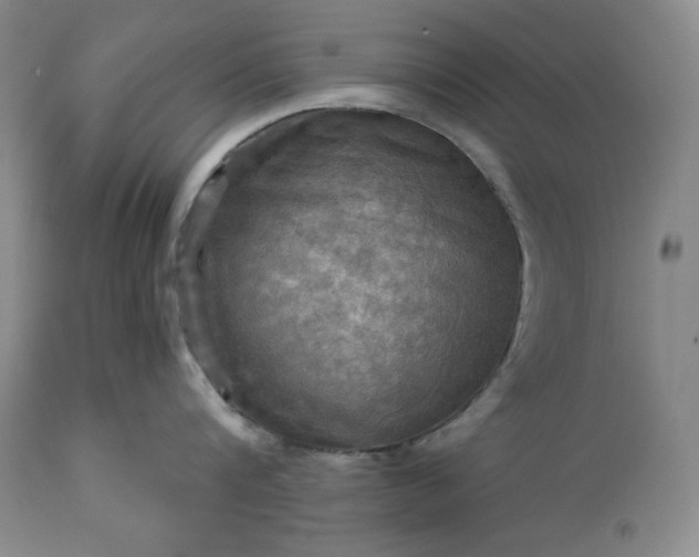 X0000113340816200909291028