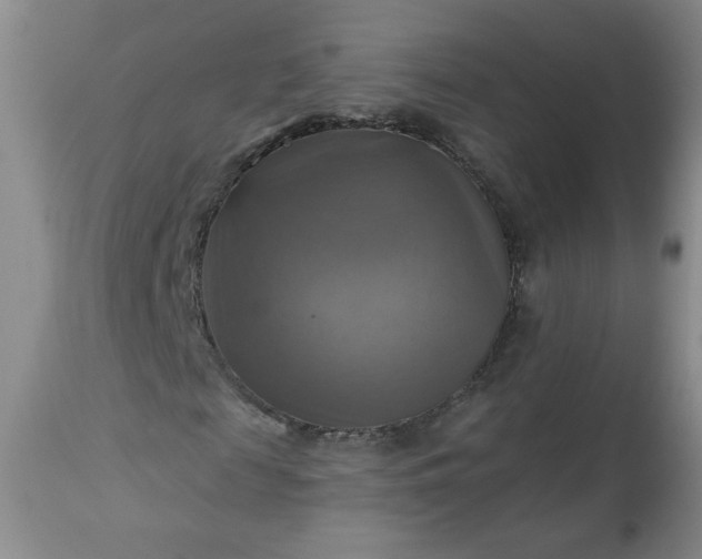 X0000113340817200909291027