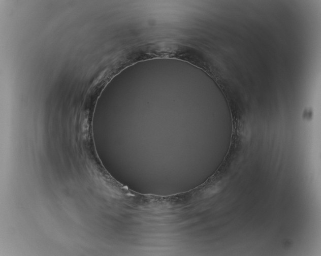 X0000113340818200909291027