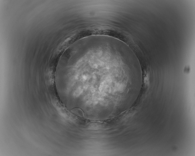 X0000113340819200909291027