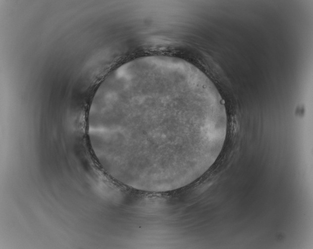 X0000113340820200909291027