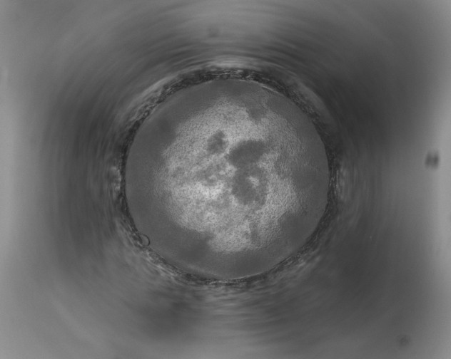 X0000113340821200909291027