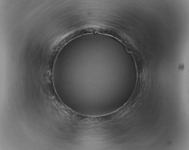 X0000113340822200909291027