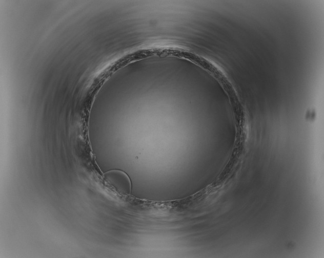 X0000113340823200909291027