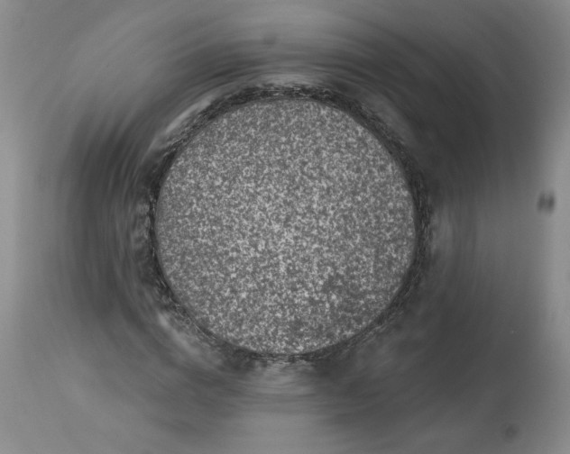 X0000113340824200909291027