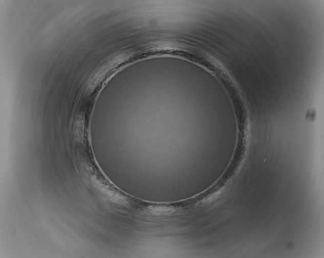 X0000113340825200909291027