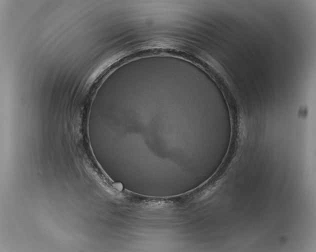 X0000113340826200909291027