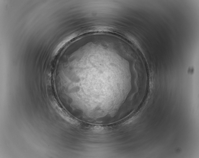 X0000113340827200909291027