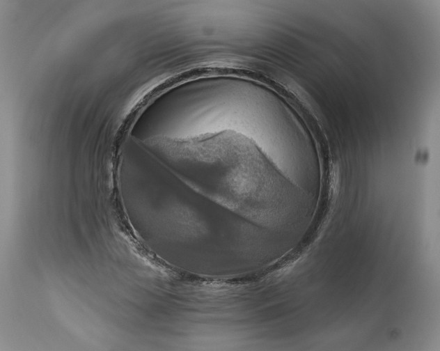 X0000113340829200909291027