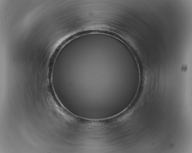 X0000113340830200909291027