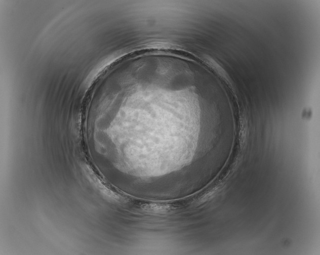 X0000113340831200909291027