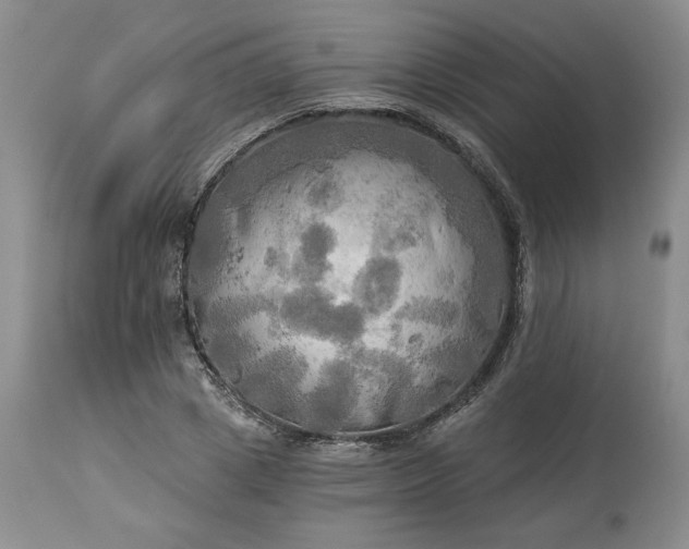 X0000113340833200909291027