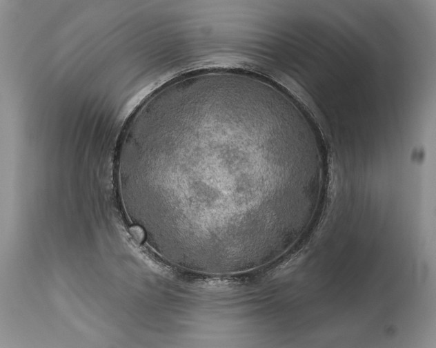 X0000113340834200909291027