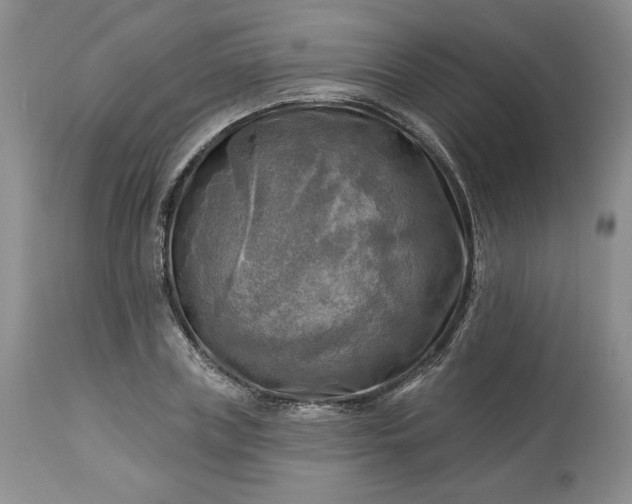 X0000113340835200909291027