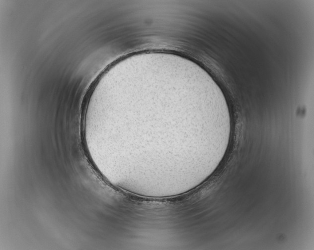 X0000113340836200909291027