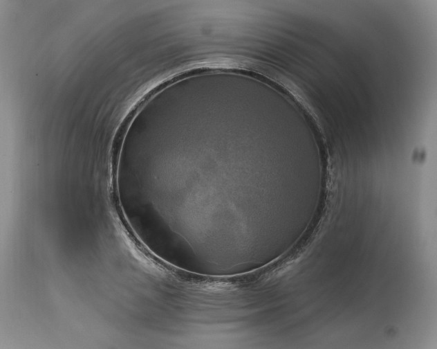 X0000113340837200909291027