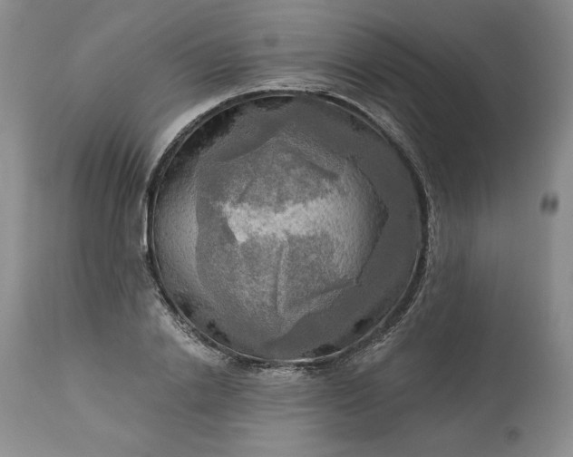 X0000113340838200909291027