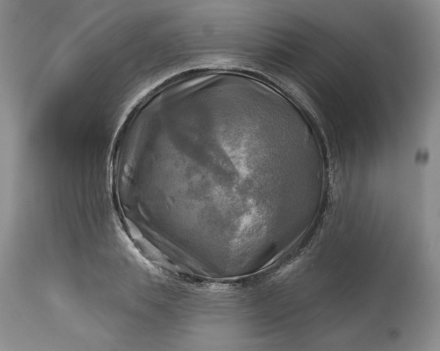 X0000113340839200909291027