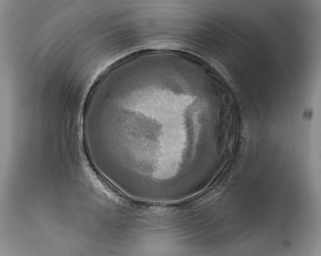 X0000113340840200909291027